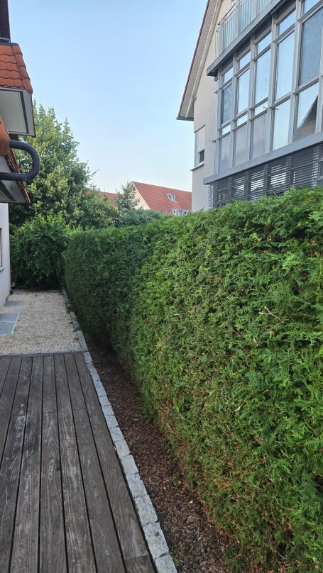 Heckenschnitt in Deizisau Nachher