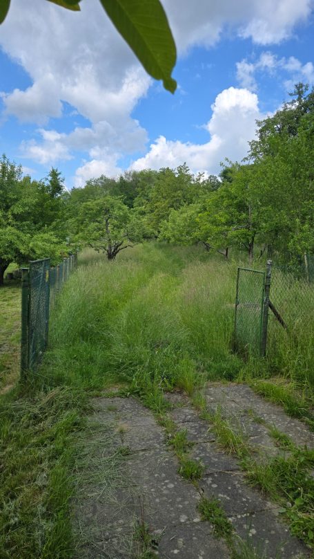 Mähen in Zell Vorher