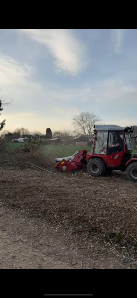 Rodung in Plochingen