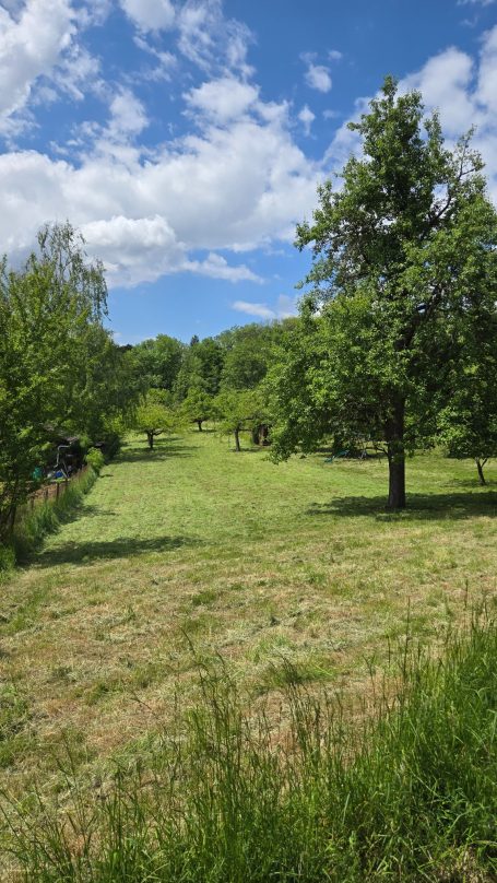 Mähen in Zell Nachher