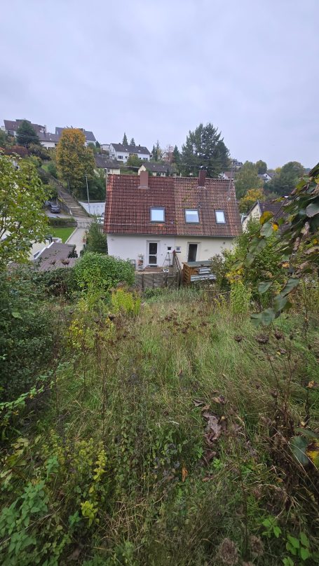 Gartenpflege in Filderstadt Vorher